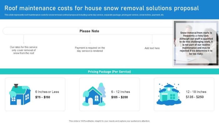 Roof Maintenance Costs For House Snow Removal Solutions Proposal Ppt Slides