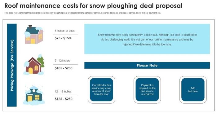 Roof Maintenance Costs For Snow Ploughing Deal Proposal Ppt Ideas Design In