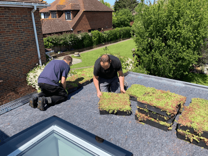 Green Roof Installation Cost: A Comprehensive Guide for Homeowners